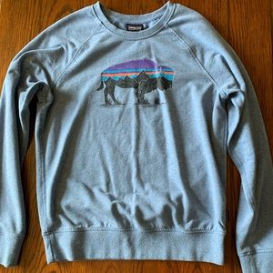 Patagonia Sweatshirt